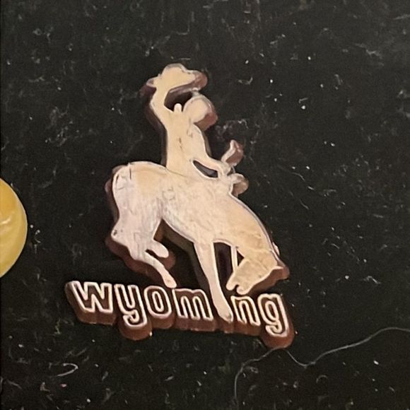 Vintage 1” x 0.75” “Wyoming ASI 65485” hat/lapel pin or tie tack - Picture 3 of 10
